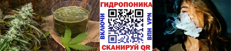 где купить наркоту Кыштым Canna-Cookies марихуана