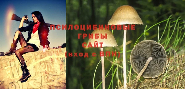 винт Армянск