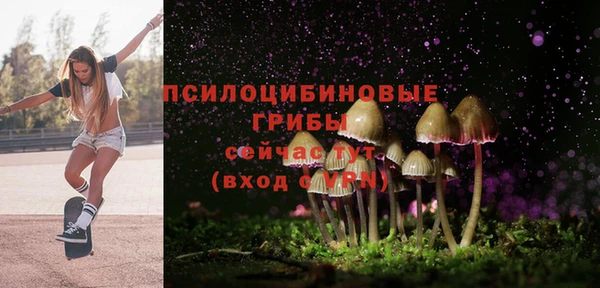 дурь Аркадак