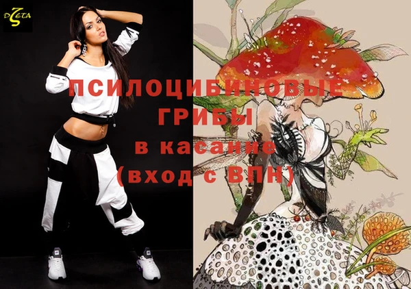 винт Армянск