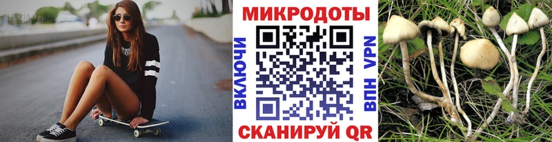 где найти наркотики  Кыштым  Псилоцибиновые грибы Magic Shrooms 
